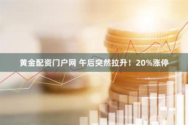 黄金配资门户网 午后突然拉升！20%涨停